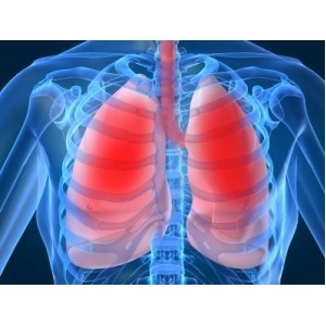 Insuficienta pulmonara valvulara